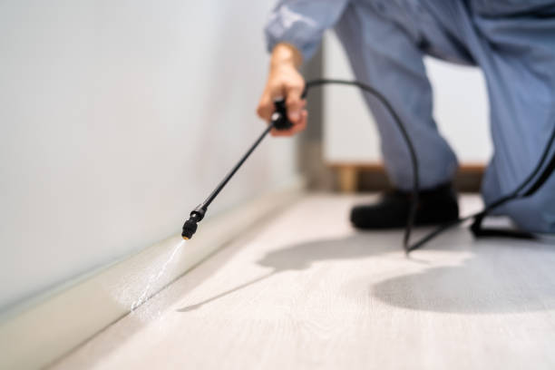 Licensed Cockroach Control service in Floyd County County, IN - Nex Pest Control